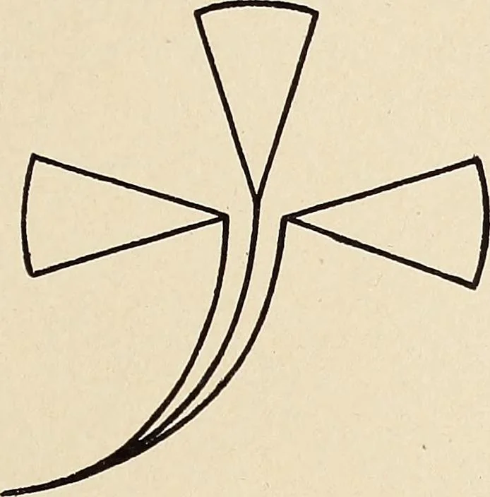 An illustration from Méthode de composition ornementale, 1905, leaf 350