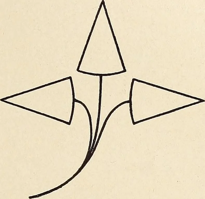 An illustration from Méthode de composition ornementale, 1905, leaf 350