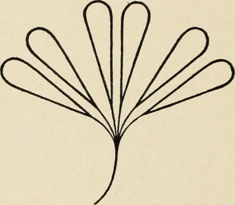 An illustration from Méthode de composition ornementale, 1905, leaf 351