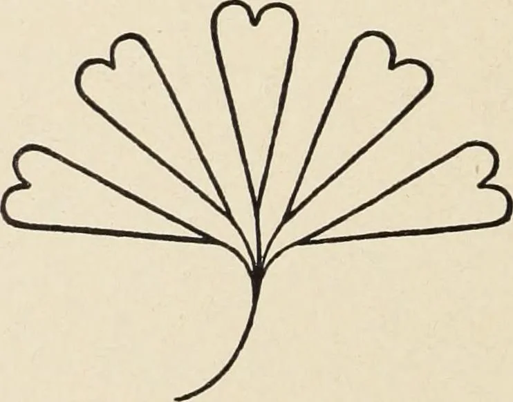 An illustration from Méthode de composition ornementale, 1905, leaf 351
