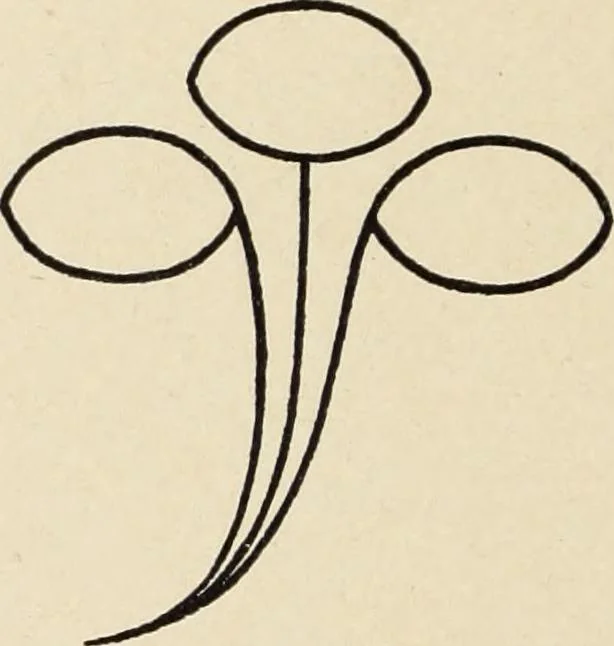 An illustration from Méthode de composition ornementale, 1905, leaf 353