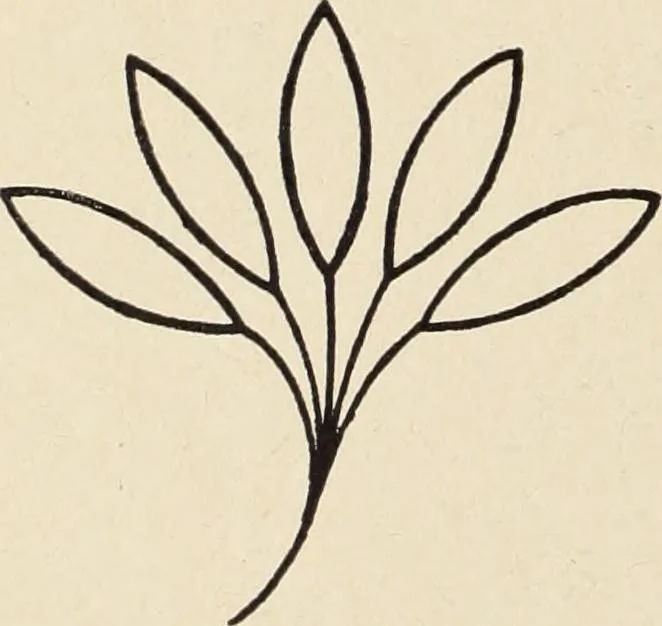 An illustration from Méthode de composition ornementale, 1905, leaf 353