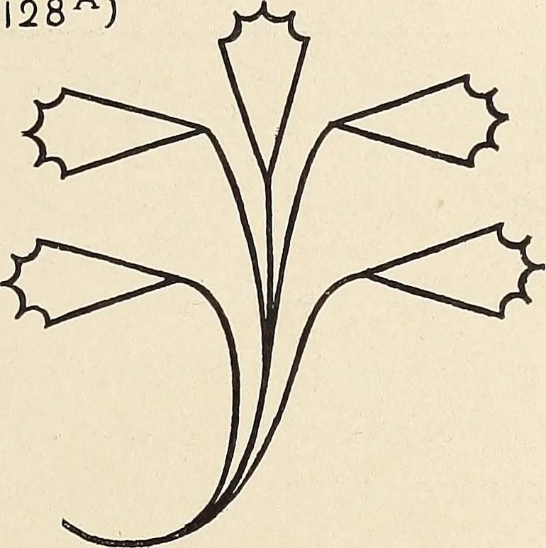 An illustration from Méthode de composition ornementale, 1905, leaf 356