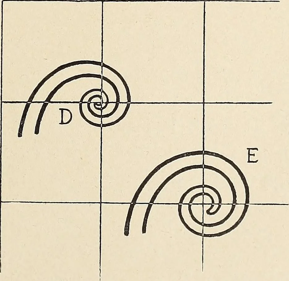 An illustration from Méthode de composition ornementale, 1905, leaf 364