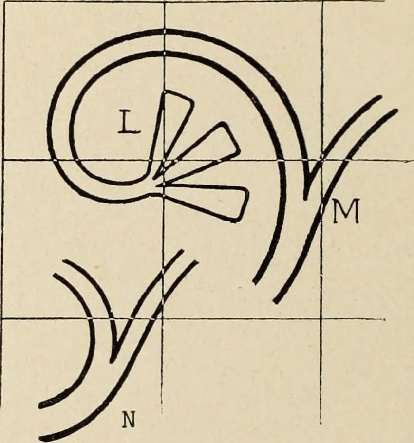 An illustration from Méthode de composition ornementale, 1905, leaf 365