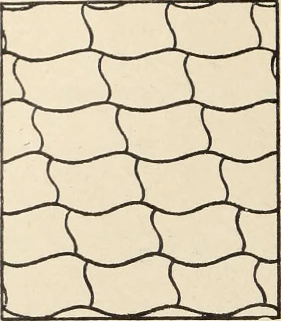 An illustration from Méthode de composition ornementale, 1905, leaf 37