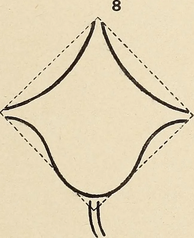 An illustration from Méthode de composition ornementale, 1905, leaf 376