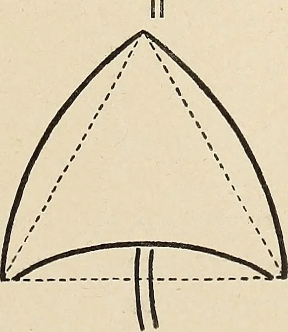 An illustration from Méthode de composition ornementale, 1905, leaf 376