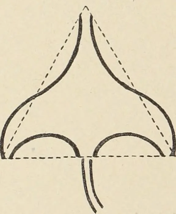 An illustration from Méthode de composition ornementale, 1905, leaf 377
