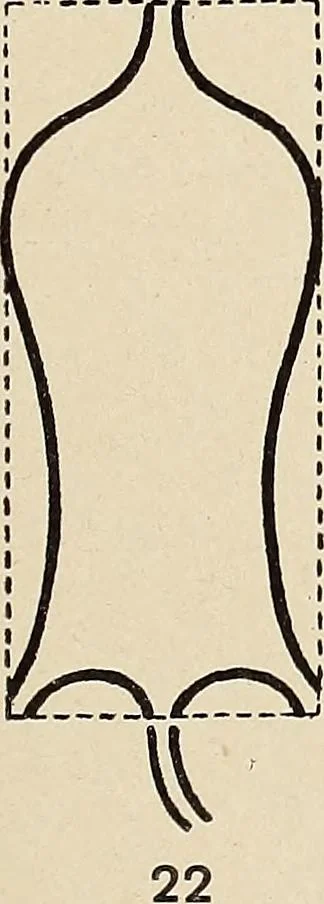 An illustration from Méthode de composition ornementale, 1905, leaf 378