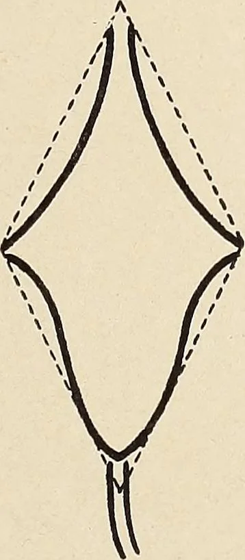 An illustration from Méthode de composition ornementale, 1905, leaf 378