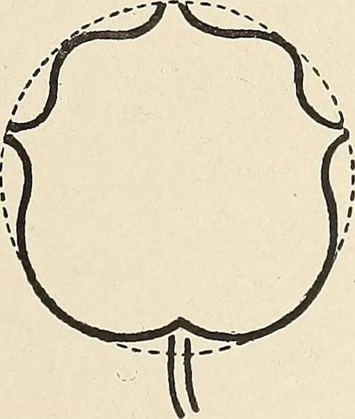 An illustration from Méthode de composition ornementale, 1905, leaf 378