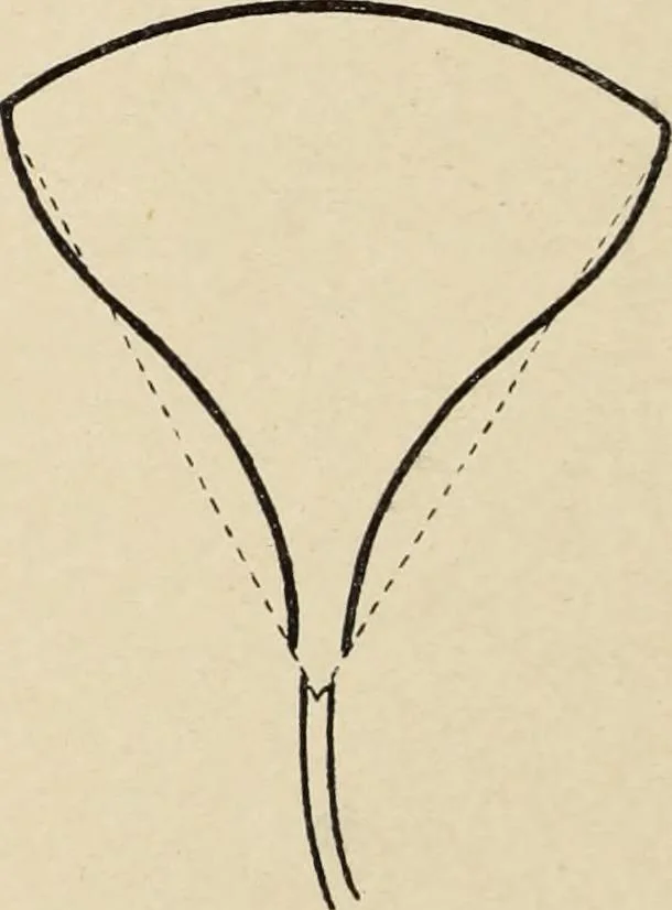 An illustration from Méthode de composition ornementale, 1905, leaf 379