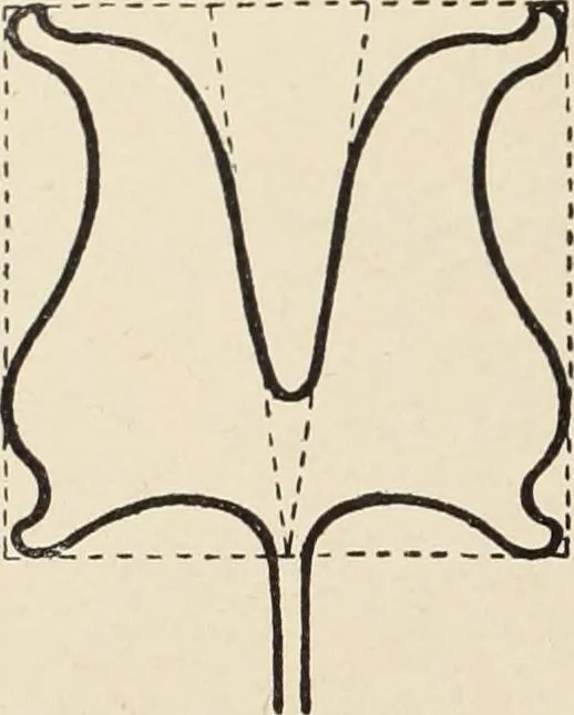 An illustration from Méthode de composition ornementale, 1905, leaf 381