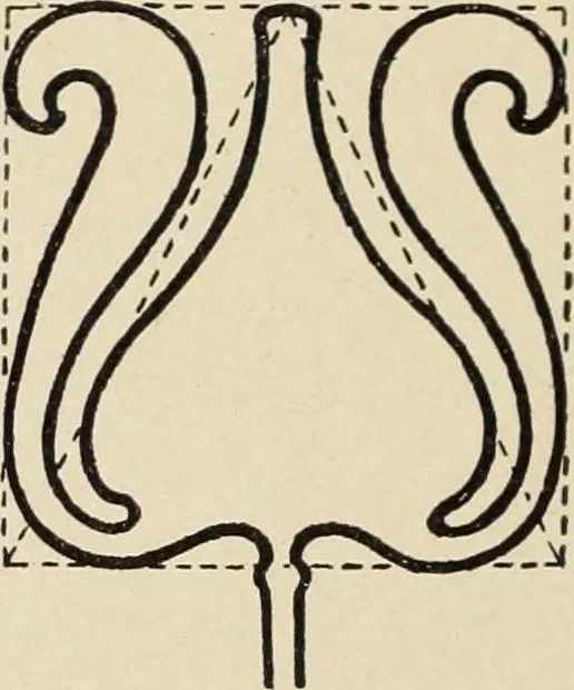 An illustration from Méthode de composition ornementale, 1905, leaf 381
