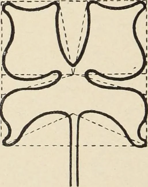 An illustration from Méthode de composition ornementale, 1905, leaf 381