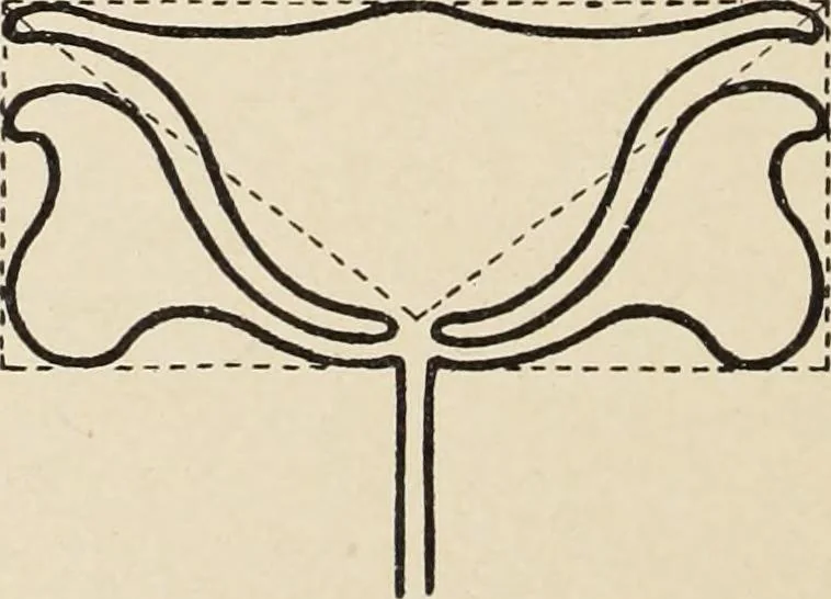 An illustration from Méthode de composition ornementale, 1905, leaf 381