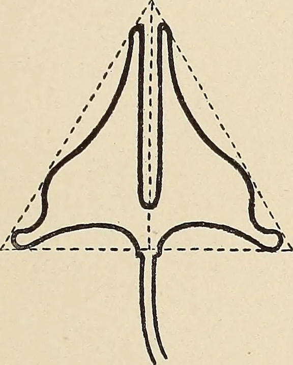 An illustration from Méthode de composition ornementale, 1905, leaf 382