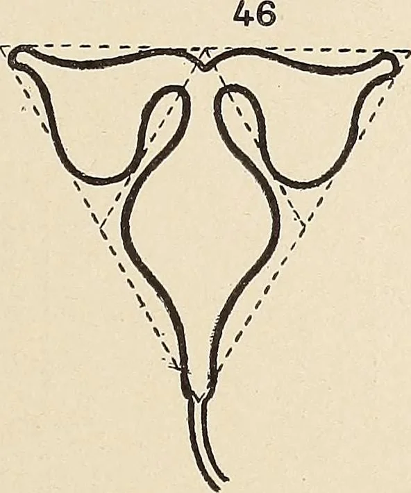 An illustration from Méthode de composition ornementale, 1905, leaf 382