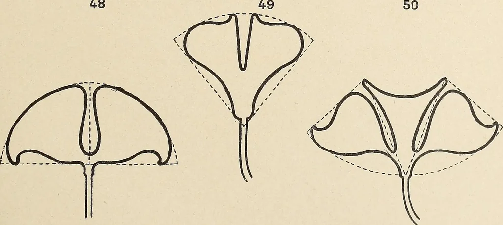 An illustration from Méthode de composition ornementale, 1905, leaf 382