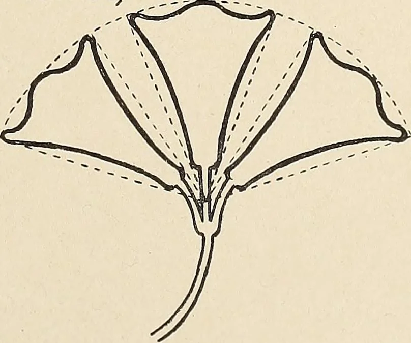 An illustration from Méthode de composition ornementale, 1905, leaf 386