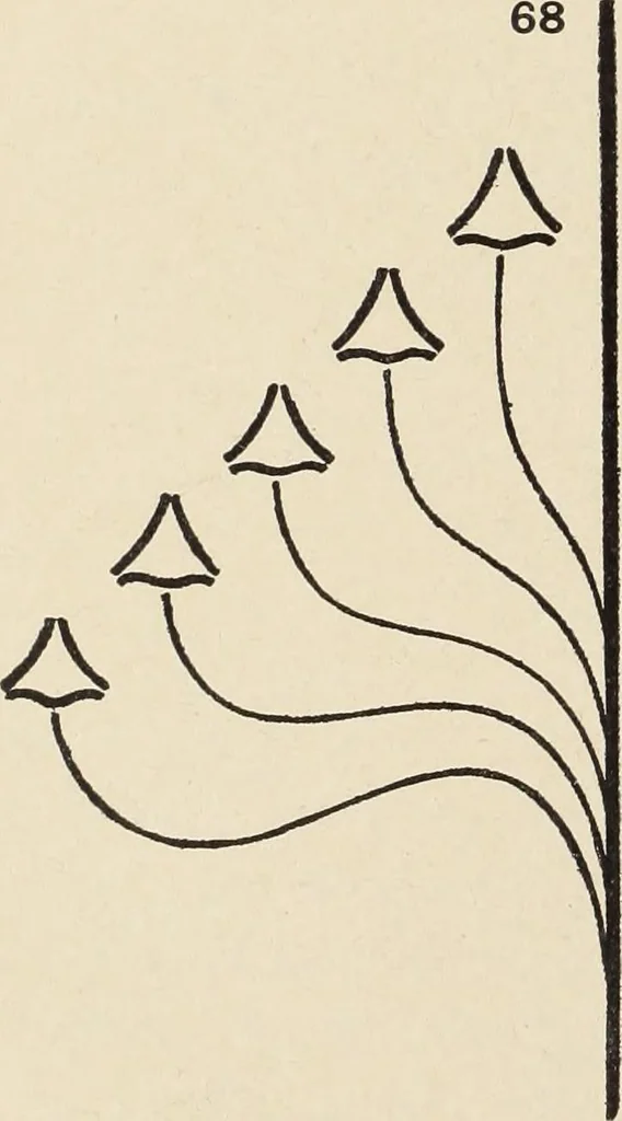 An illustration from Méthode de composition ornementale, 1905, leaf 389
