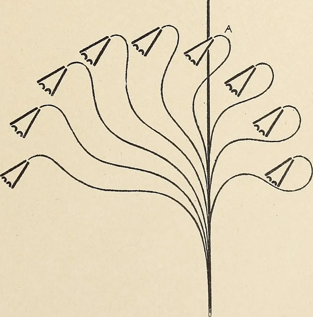 An illustration from Méthode de composition ornementale, 1905, leaf 390