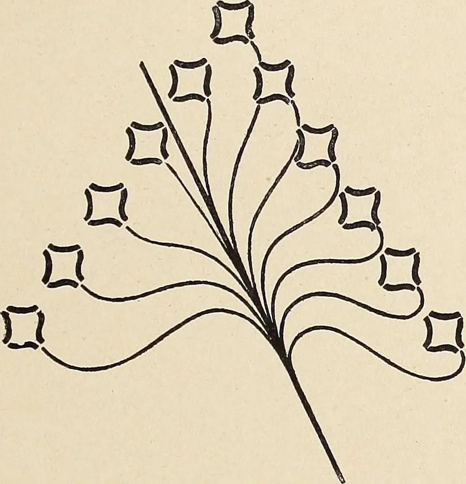 An illustration from Méthode de composition ornementale, 1905, leaf 394