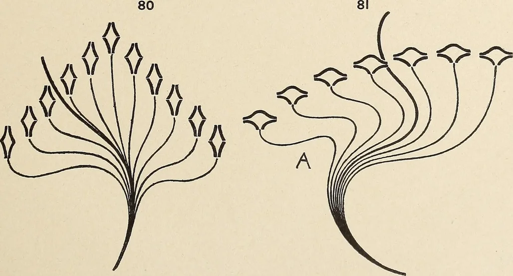 An illustration from Méthode de composition ornementale, 1905, leaf 394