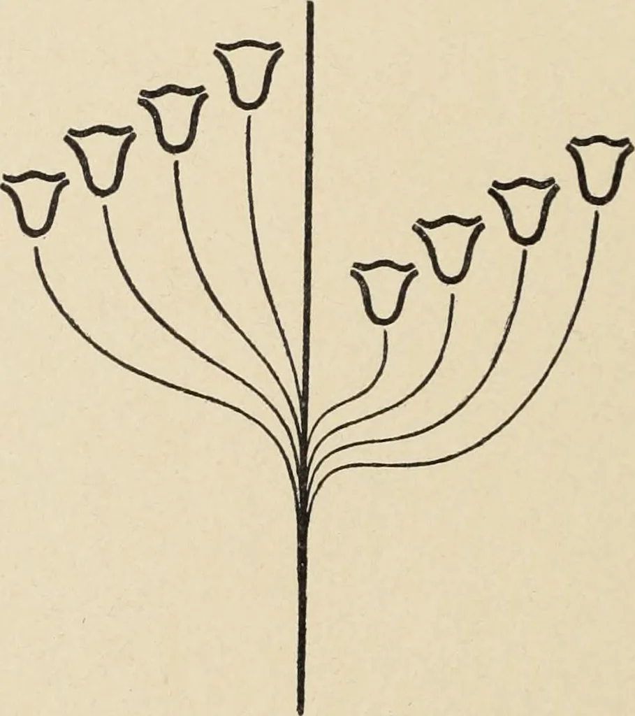 An illustration from Méthode de composition ornementale, 1905, leaf 395