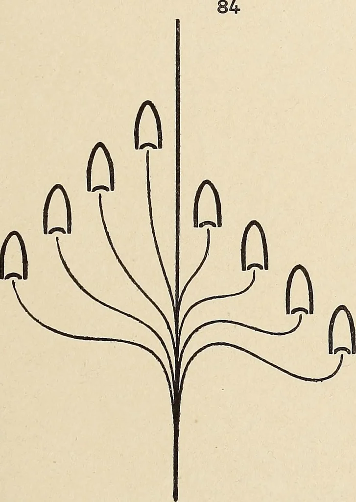 An illustration from Méthode de composition ornementale, 1905, leaf 396