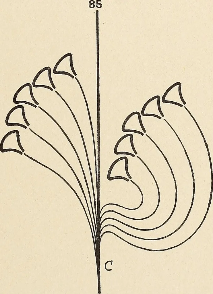 An illustration from Méthode de composition ornementale, 1905, leaf 396