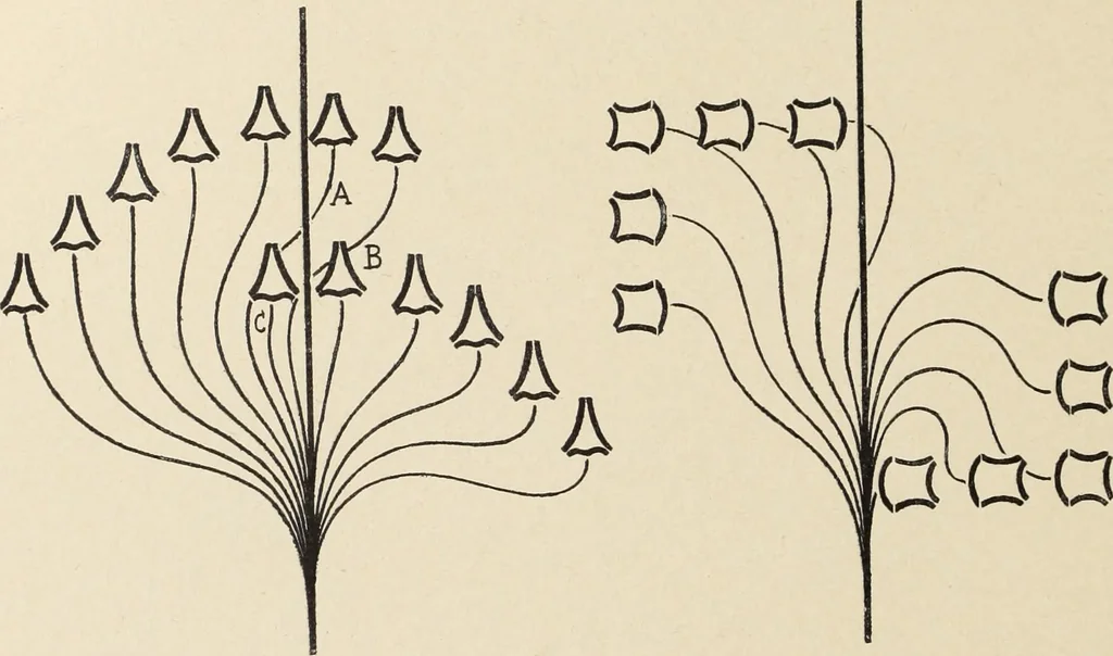 An illustration from Méthode de composition ornementale, 1905, leaf 397