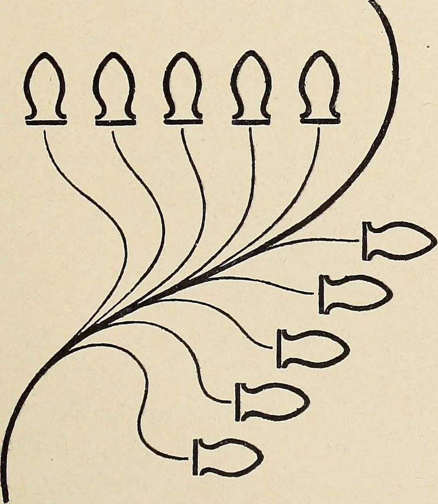 An illustration from Méthode de composition ornementale, 1905, leaf 398