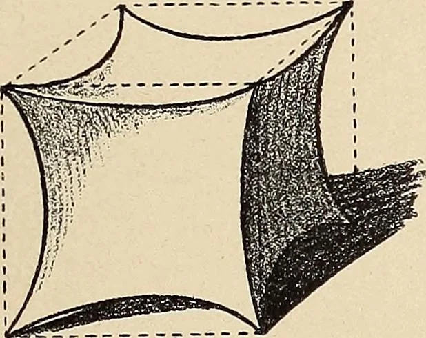 An illustration from Méthode de composition ornementale, 1905, leaf 40