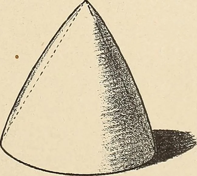 An illustration from Méthode de composition ornementale, 1905, leaf 40