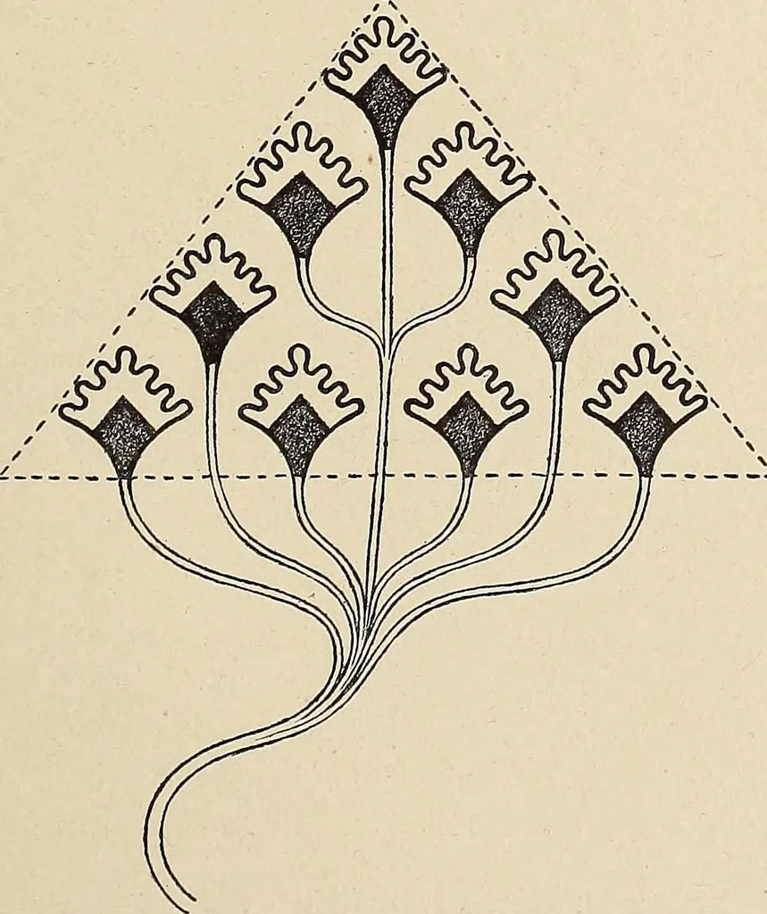 An illustration from Méthode de composition ornementale, 1905, leaf 404