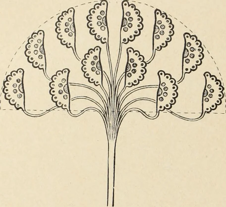 An illustration from Méthode de composition ornementale, 1905, leaf 407