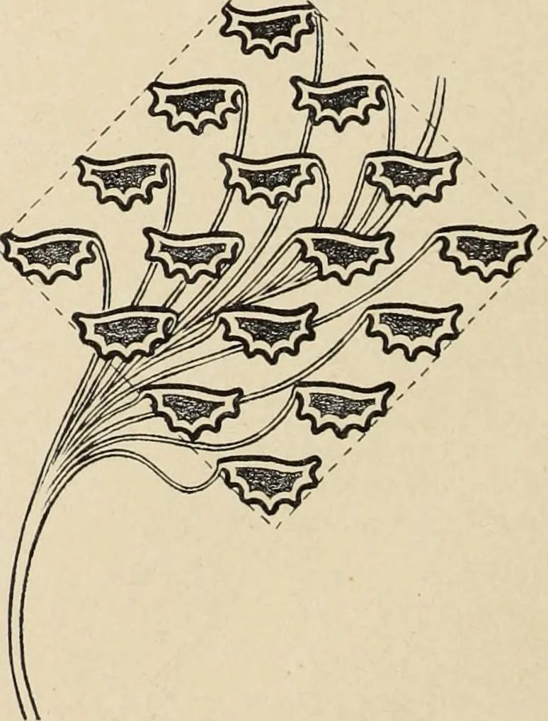 An illustration from Méthode de composition ornementale, 1905, leaf 407