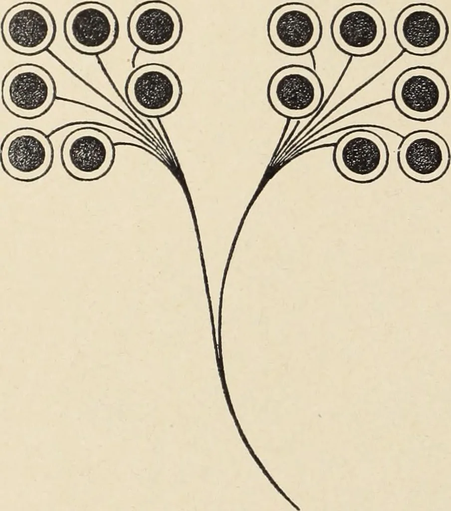 An illustration from Méthode de composition ornementale, 1905, leaf 409