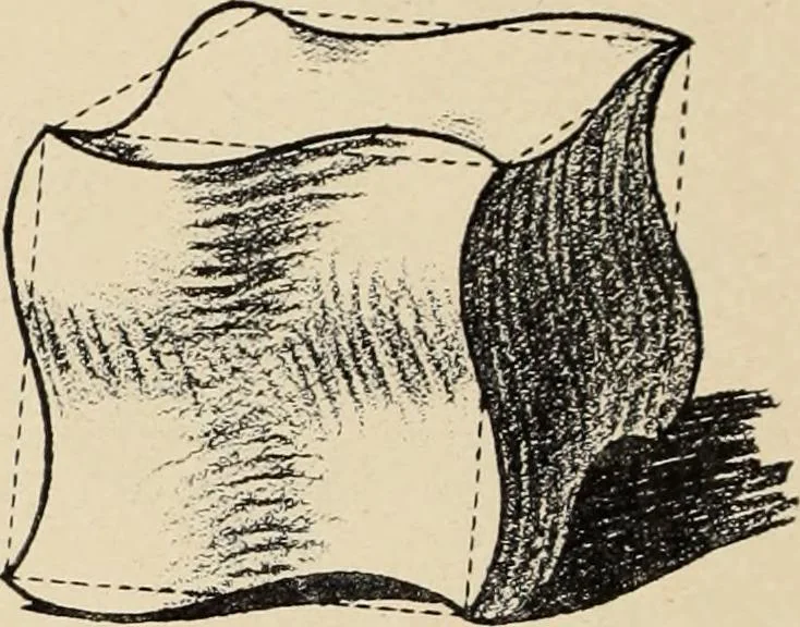 An illustration from Méthode de composition ornementale, 1905, leaf 41
