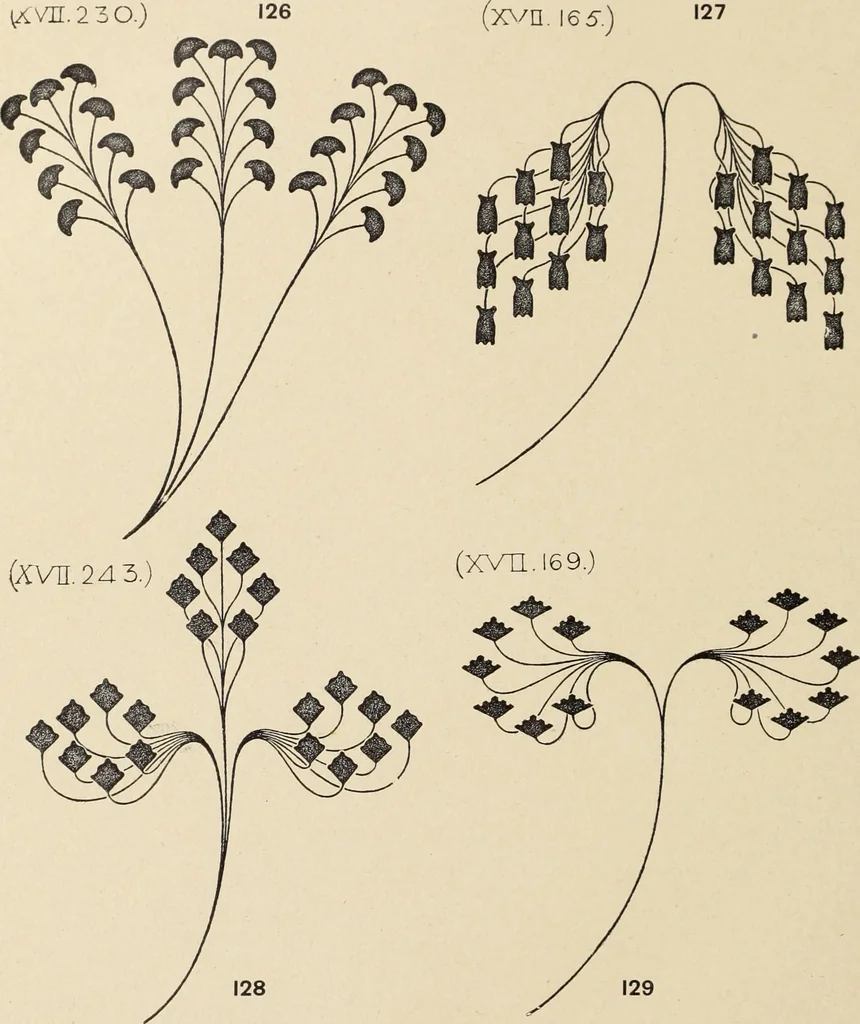 An illustration from Méthode de composition ornementale, 1905, leaf 411