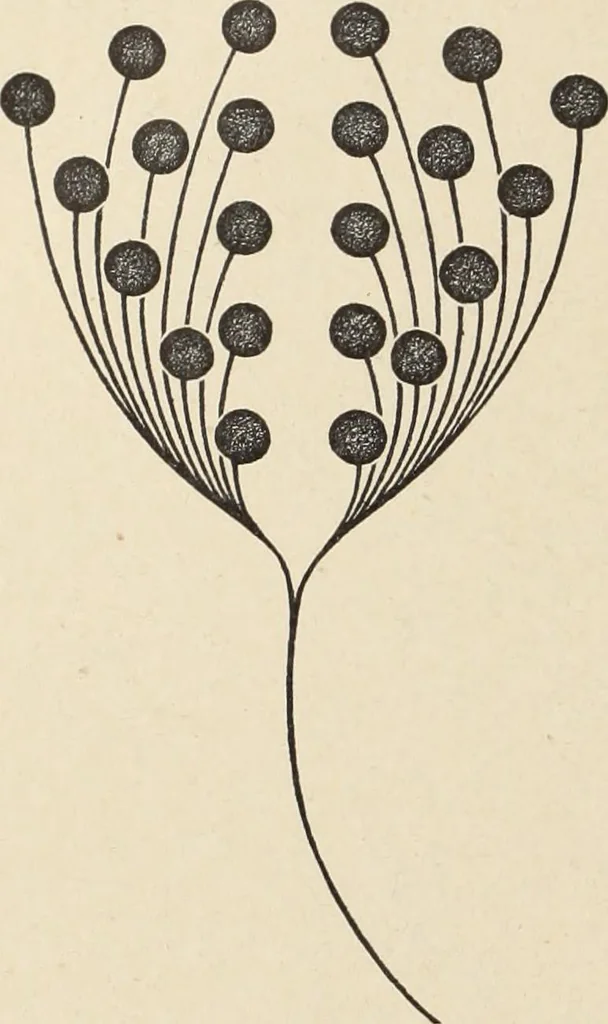 An illustration from Méthode de composition ornementale, 1905, leaf 413