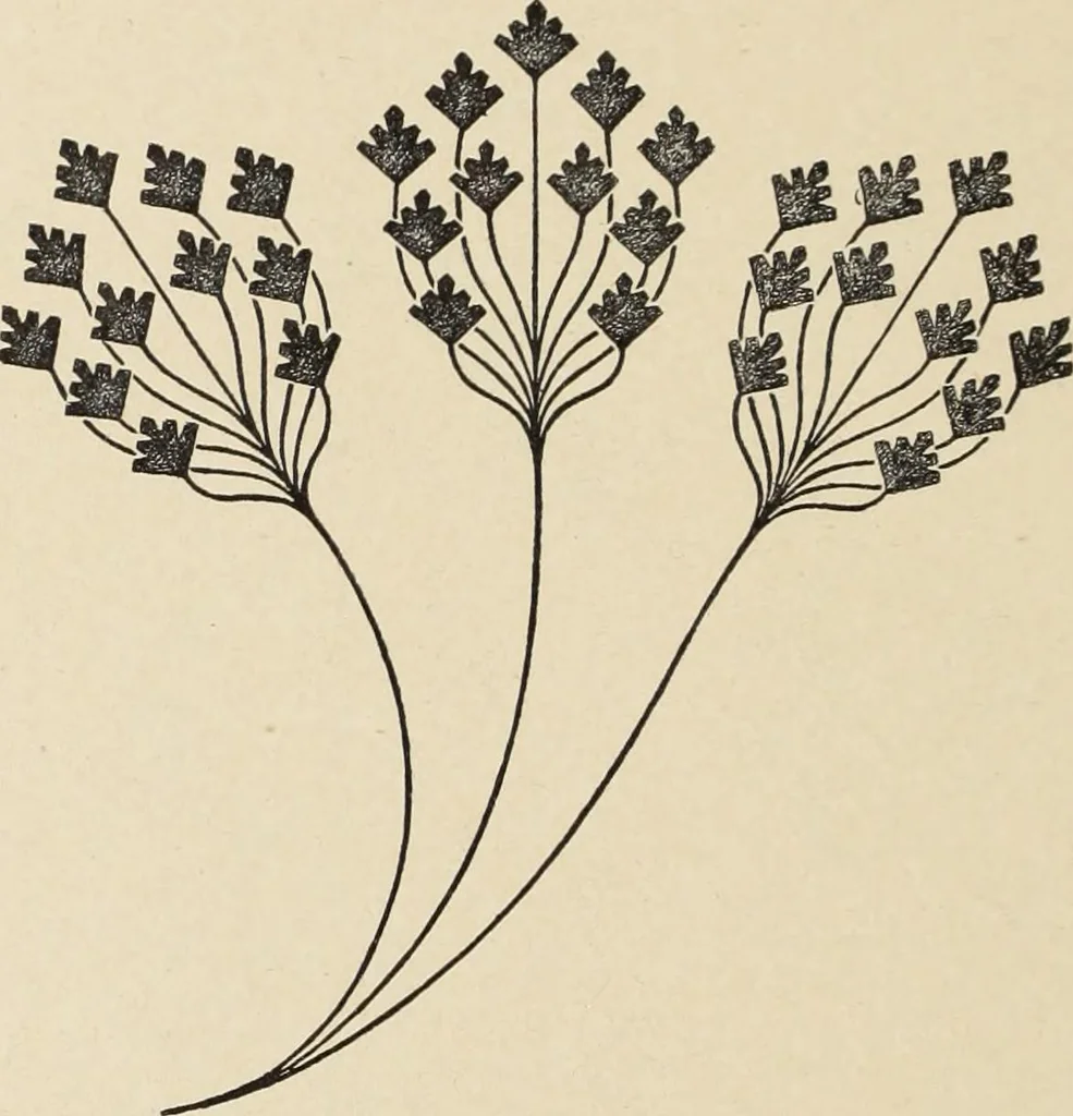 An illustration from Méthode de composition ornementale, 1905, leaf 413