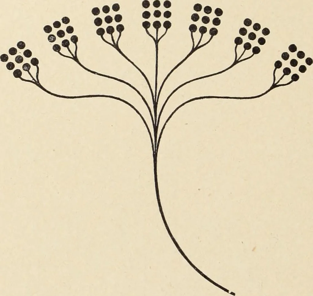 An illustration from Méthode de composition ornementale, 1905, leaf 415