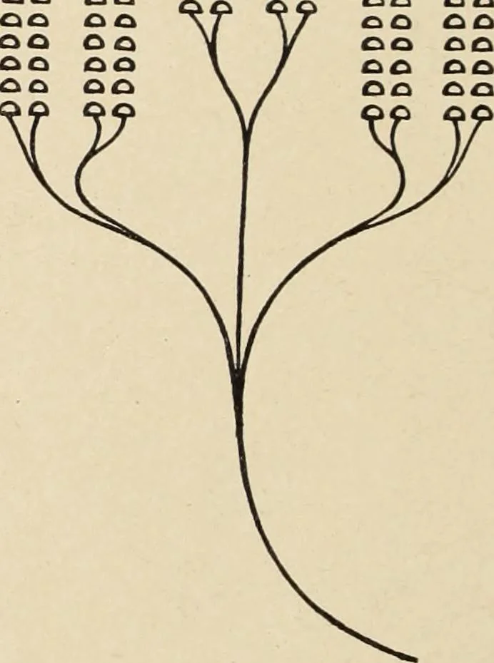 An illustration from Méthode de composition ornementale, 1905, leaf 415