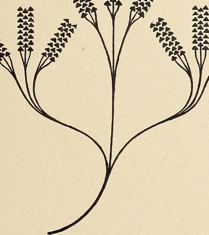 An illustration from Méthode de composition ornementale, 1905, leaf 416