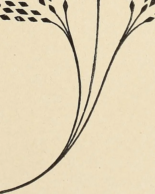 An illustration from Méthode de composition ornementale, 1905, leaf 416