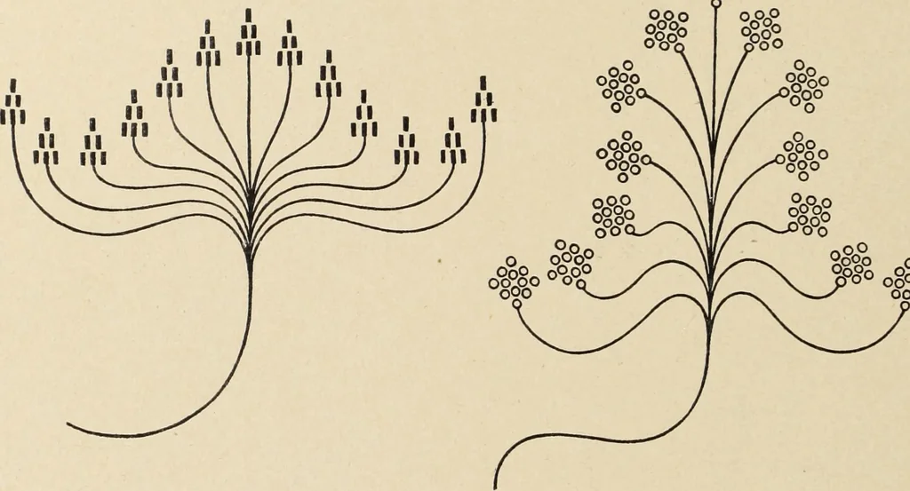 An illustration from Méthode de composition ornementale, 1905, leaf 419