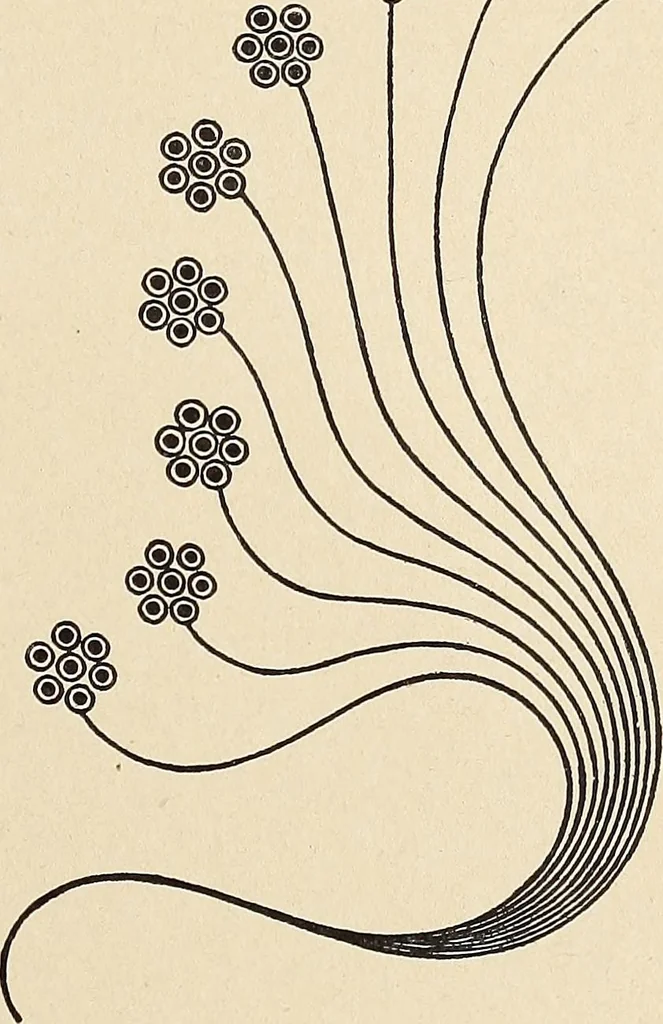 An illustration from Méthode de composition ornementale, 1905, leaf 420
